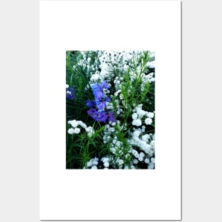 Delphinium surrounded by tiny white flowers Posters and Art